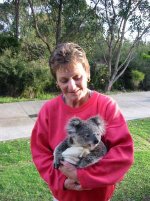 small koala with carer